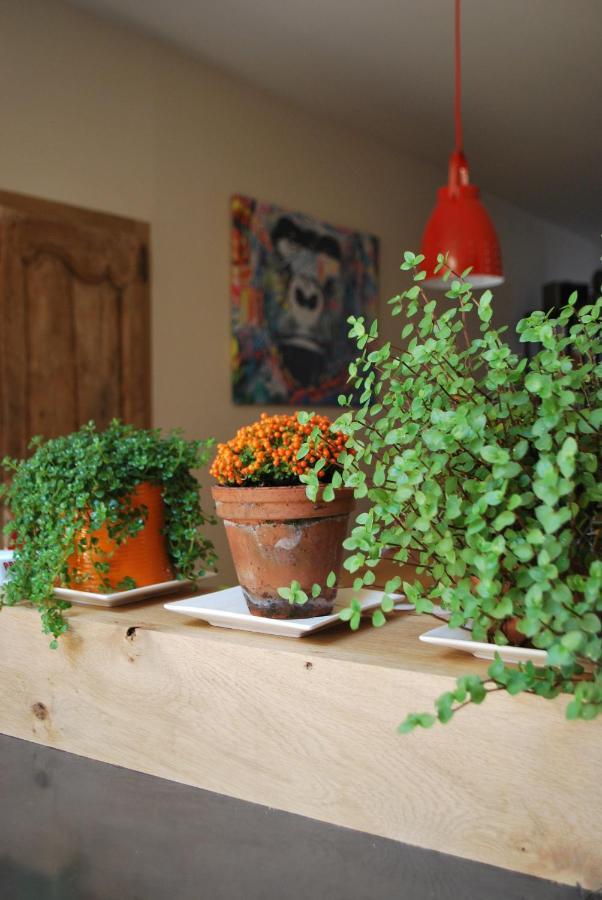 Natangora Bed & Breakfast Marcillac-Vallon Exterior foto